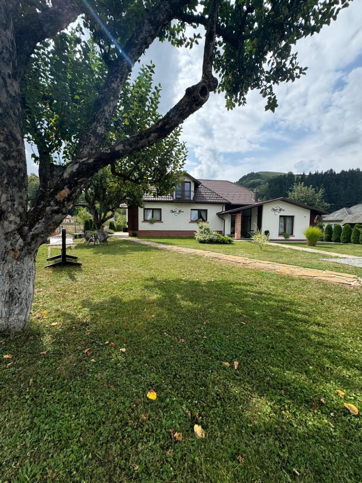 Chalet Bora Вишово-Нижнє Екстер'єр фото