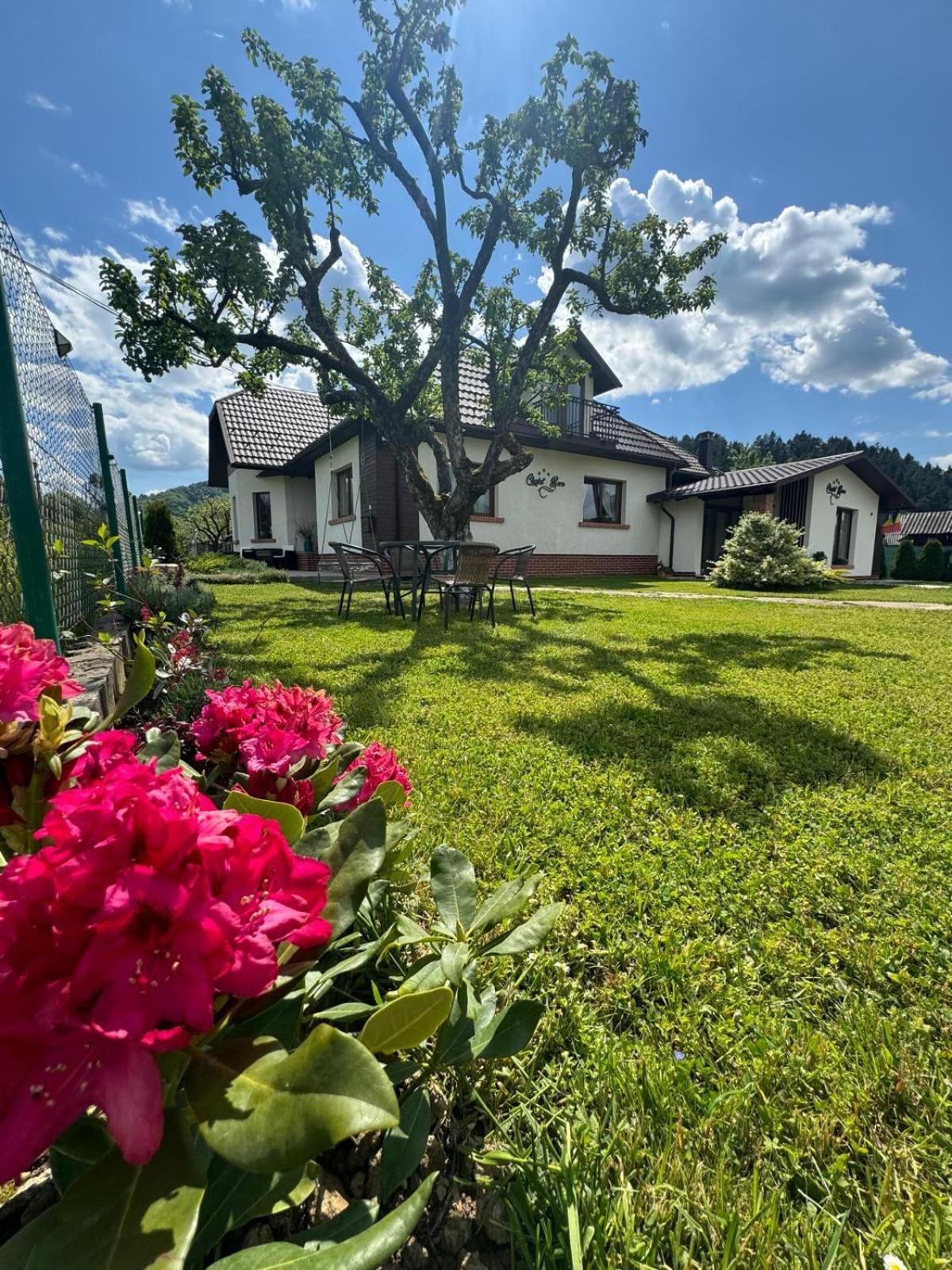 Chalet Bora Вишово-Нижнє Екстер'єр фото